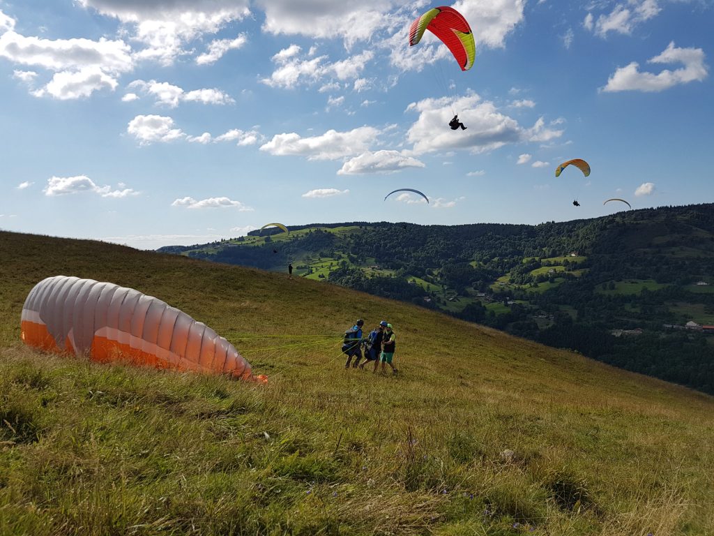 Vosges Dans L'Vent