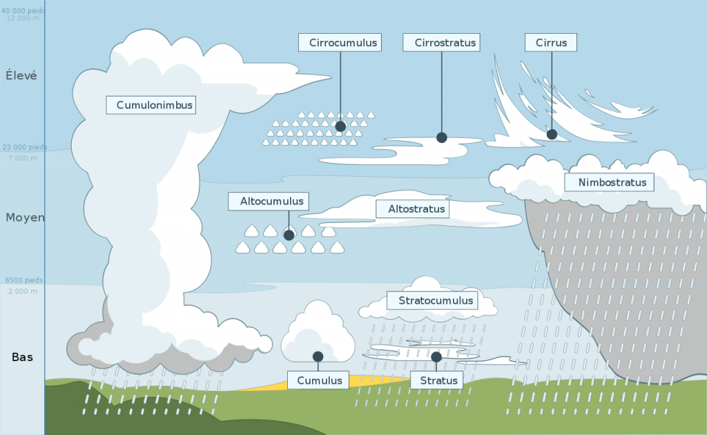 Infographie représentant les différents types de nuages